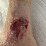 0702775 - SSG - Photo #1