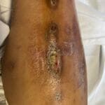 10717963 - Harvest - Photo #1