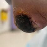 1096300 - Photo 3 - 20240222