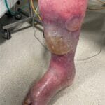 1142286 - Photo 6 - 20240119