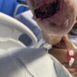 1172876 - Photo #4 - 20240202