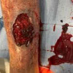 12275280 - Photo 1- 20240215