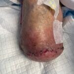 2626963 - BKA - Photo #5