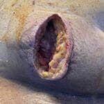 4935379 - Nec Fasc - 09042024 - Photo #1