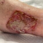 8122175 - Photo 3 - 20240122