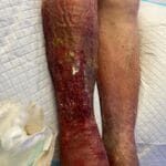 962676 -Photos 3 -20240214